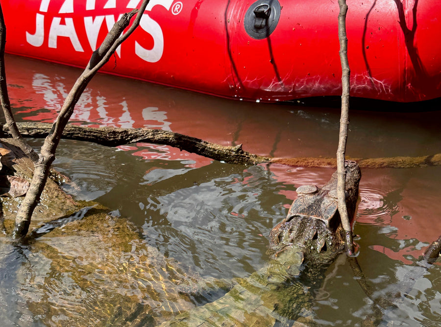 Une expédition au cœur du Parc Amazonien de Guyane