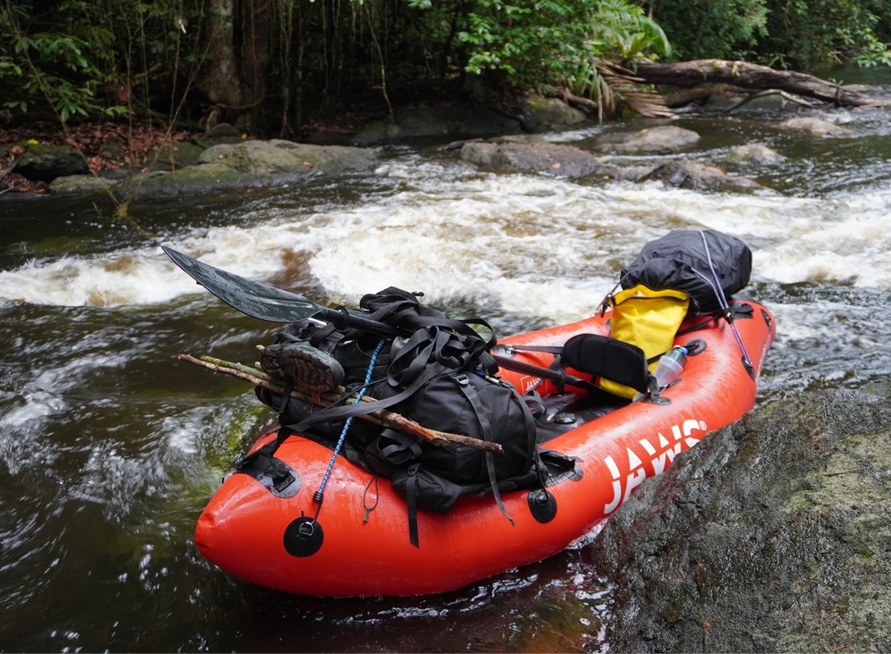 Loin d’être une simple jungle, l’Amazonie est un enchevêtrement de cours d’eau imprévisibles où l’eau devient tour à tour votre guide fidèle et votre plus redoutable adversaire.