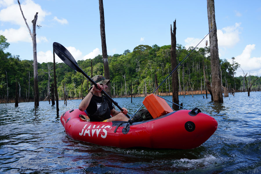Immersion en Amazonie