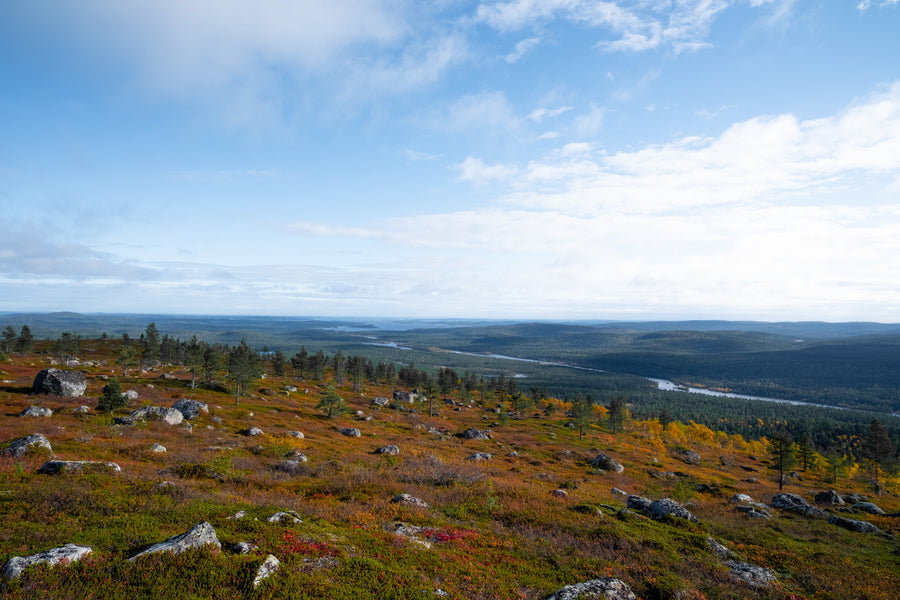 The Call of the Far North